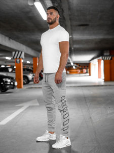 Szare spodnie męskie joggery dresowe Denley HL9161